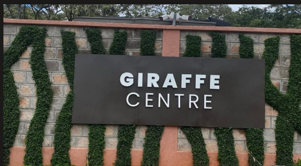 Giraffe center